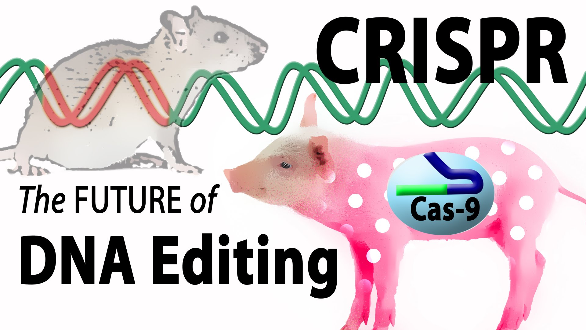 کریسپر, crispr, مقاله کریسپر, کریسپر+pdf, کریسپر در ایران, کریسپر به زبان ساده, کریسپر کاس, روش crispr, سیستم crispr, ویرایش ژنوم, CRISPR، crispr چیست؟, pre-crRNA,  spacer، تکنیک کریسپر, روش crispr , ساختار ژنی کریسپر, سیستم CRISPR/Cas , سیستم ویرایش ژنومی کریسپر/Cas , فناوری کریسپر , کریسپر, کریسپر pdf ,کریسپر چیست؟ , کریسپر+ppt, کمپلکس Cas, مکانیسم کریسپر,نقش سیستم کریسپر/Casدر باکتری , فرایند کریسپر کَس ۹ چیست, عملکرد کریسپرـ کَس ۹, آینده کریسپرـ کَس ۹, ویرایش ژنی کریسپر, تکنیک ژنی کریسپر, CRISPR 2.0, اصلاح ژن "کریسپر" , بدون استفاده از قیچی, دستاورد مهم کریسپر , در مسیر درمان بیماری‌ها, 