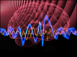 کاربرد , انواع مختلف , امواج مغزی , نوروفیدبک , شناخت امواج مغزی , ویژگی های خاص امواج مغزی , ارتباط آن با رفتار , موج دلتا , موج تتا , موج آلفا , موج SMR  ( sensory motor rhythm , موج بتا , موج high beta , موج گاما