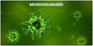    تخریب بیولوژیک میکروارگانیسم   لیز آنزیم سلول ها تخریب سلولی توسط معرف های بیولوژیک